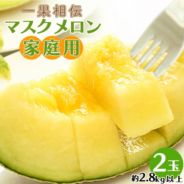 【発送開始】<家庭用メロン>マスクメロン 2玉 メロン ますくめろん めろん 2玉 果物 くだもの フルーツ 甘い 国産メロン 青肉めろん 果物めろん デザート メロン 2025年 贈答 11月も発送 ギフト プレゼント 産直 産地直送 高知県 青肉 訳あり 2026年 先行予約 一果相伝 青肉 フルーツ メロン 果物 1万円以上 10000円以上 tn-0025