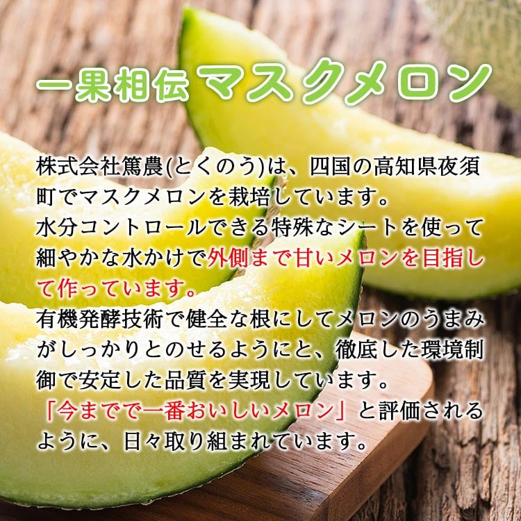 【発送開始】<家庭用メロン>マスクメロン 2玉 メロン ますくめろん めろん 2玉 果物 くだもの フルーツ 甘い 国産メロン 青肉めろん 果物めろん デザート メロン 2025年 贈答 11月も発送 ギフト プレゼント 産直 産地直送 高知県 青肉 訳あり 2026年 先行予約 一果相伝 青肉 フルーツ メロン 果物 1万円以上 10000円以上 tn-0025