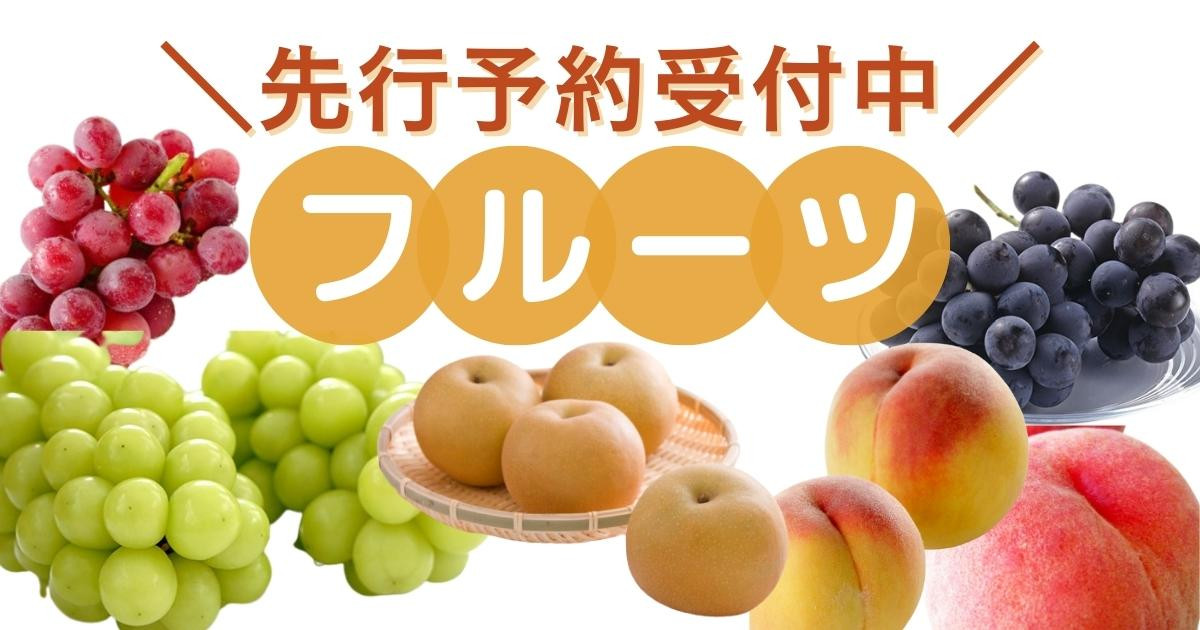 先行予約 [枝豆 定期便 1kg×3回] 新潟県産 枝豆（陽恵）[2026年発送分 ] 令和8年産 朝採り枝豆1kgを3回お届け 堀川農園【030S034】