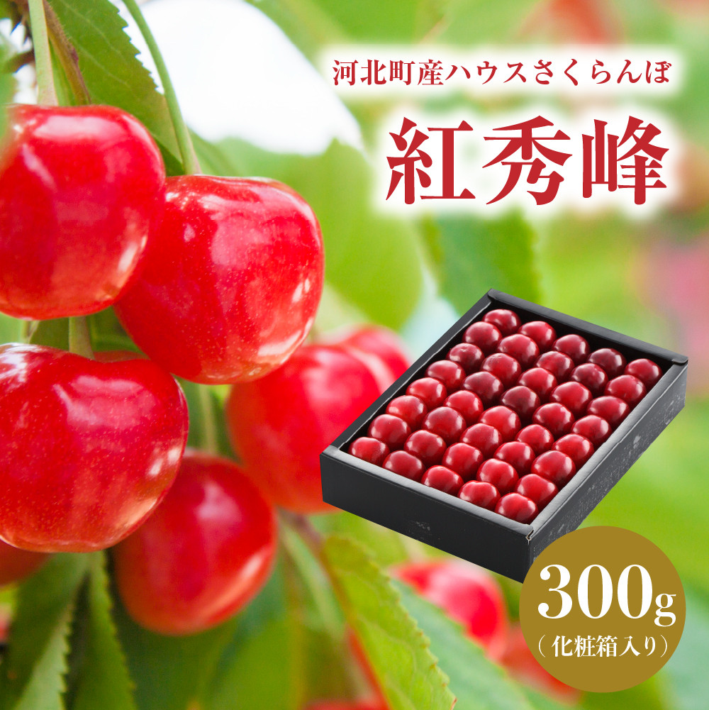 【令和8年産】ハウスさくらんぼ「紅秀峰」300g化粧箱 山形県河北町産【JAさがえ西村山】 ka008-005e-r8