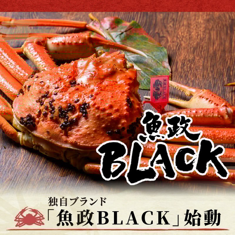 訳あり 【蟹の匠 魚政】茹で プレミアムズワイガニ 魚政BLACK(松葉ガニ・越前ガニ) 中サイズ(800~900g) 2匹セット 松葉蟹 蟹 かに カニ ガニ がに ボイル まるごと 海産物 海鮮 魚介 魚介類 甲殻類 海の幸 小 京都 京丹後 京丹後市 ふるさと納税 蟹 送料無料 UO01320・UO01321