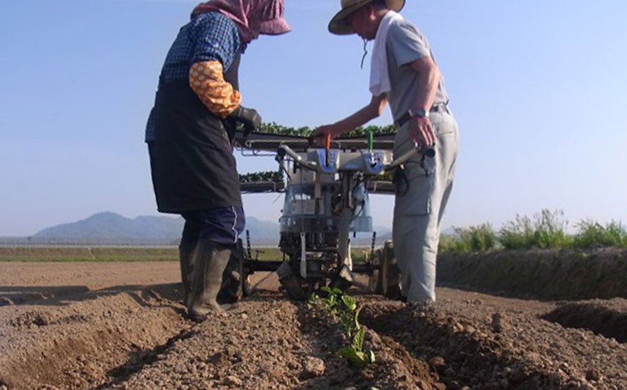 【令和8年産先行予約 】木村九八郎の朝採り!新鮮!だだちゃ豆「本豆」1.5kg(500g×3袋) 山形県鶴岡市産 K-829