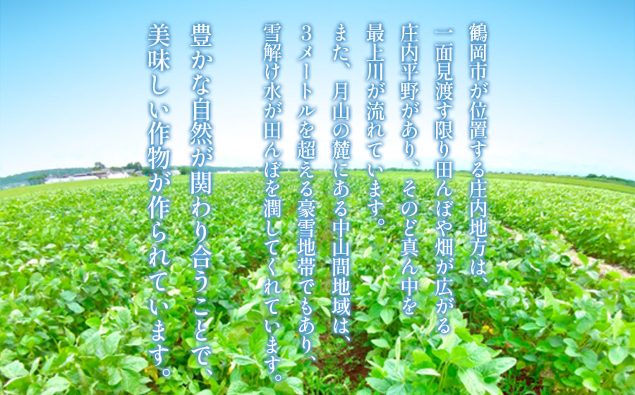 【令和8年産先行予約】山形県鶴岡特産 だだちゃ豆 1.6kg(200g×8袋)レンジ調理対応袋入 庄内産直センター | 枝豆 豆 まめ マメ 野菜 産地直送 期間限定 夏野菜 旬 おつまみ ビール 香り 濃厚 レンチン お取り寄せ おすすめ 人気 美味しい 返礼品