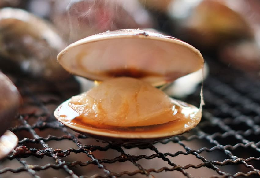 伊豆の贅沢BBQセット　大（南伊豆町×松崎町）