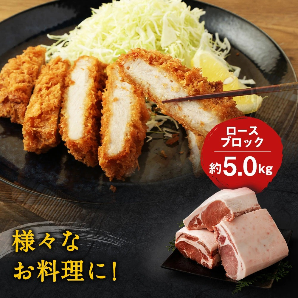 大分県産ブランド豚 奥豊後豚(米の恵み) ロースブロック 5kg (2.5kg×2) 豚ロース 豚肉