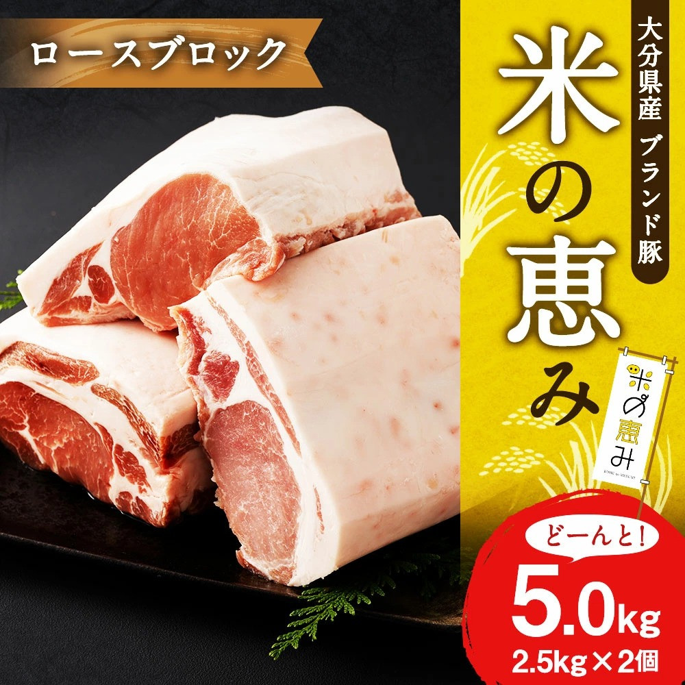 大分県産ブランド豚 奥豊後豚(米の恵み) ロースブロック 5kg (2.5kg×2) 豚ロース 豚肉