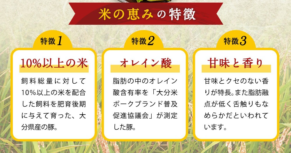 大分県産ブランド豚 奥豊後豚(米の恵み) カタロースブロック 4kg (2.0kg×2) 豚肉 肩ロース