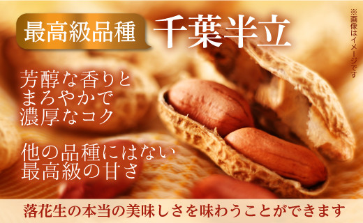 落花生 食べ比べセット 1240g 殻付き 千葉半立 味付けナカテユタカ バター 落花生 らっかせい ピーナツ ピーナッツ おつまみ おすすめ 人気 健康 千葉 八街 千葉県産 八街市産 国産 美味しい 菓子 ギフト やちまた