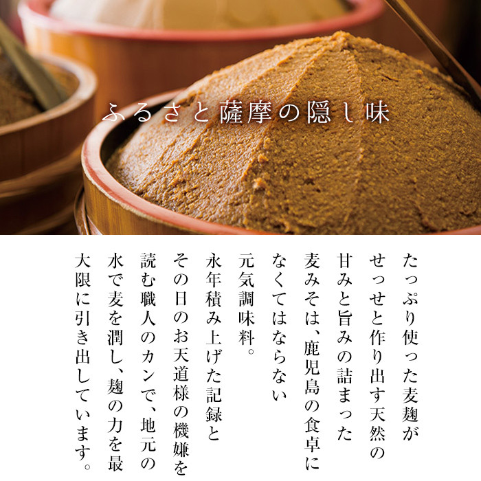 【数量限定】ウィスキー木樽仕込味噌(500g×2個)九州 鹿児島県産 味噌 麦みそ 麦味噌 味噌汁 みそ お味噌 ギフト【A-1464H】