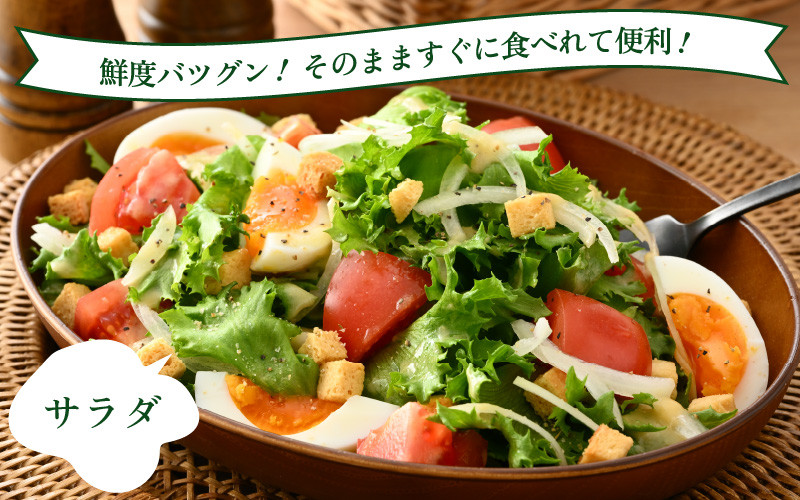 【福井県美浜町産】低カリウムレタス&フリルレタス　計10個セット【野菜 生野菜 レタス サラダ サンドイッチ お弁当 水耕栽培 洗わず食べられる 時短 付け合わせ ダイエット ヘルシー】[m40-a005]