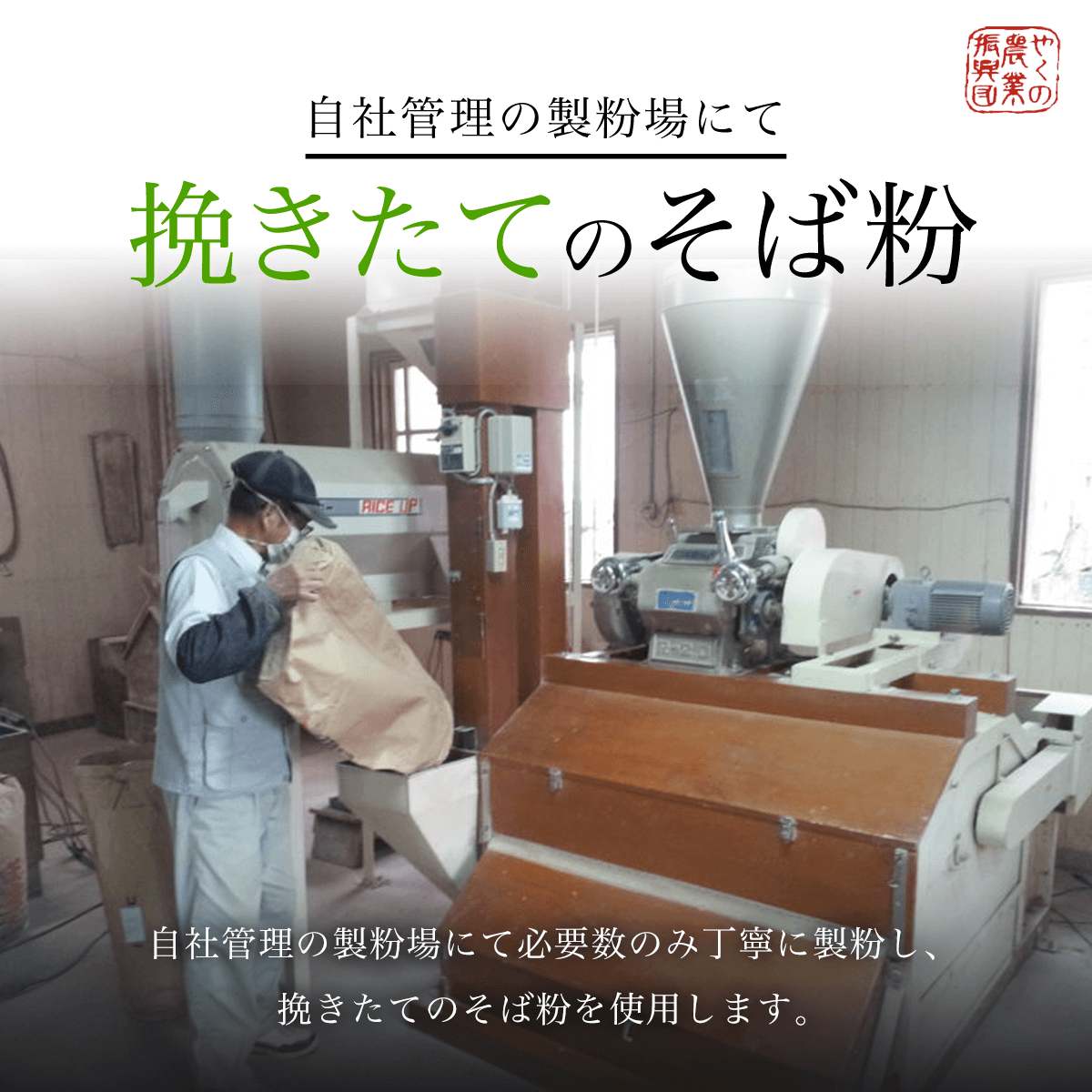 乾麺 京蕎麦 丹波ノ霧  【乾麺 京蕎麦 丹波ノ霧 ふるさと納税 蕎麦 そば 小分け 備蓄 保存食 常温 人気 京都府 福知山市】 FCB016