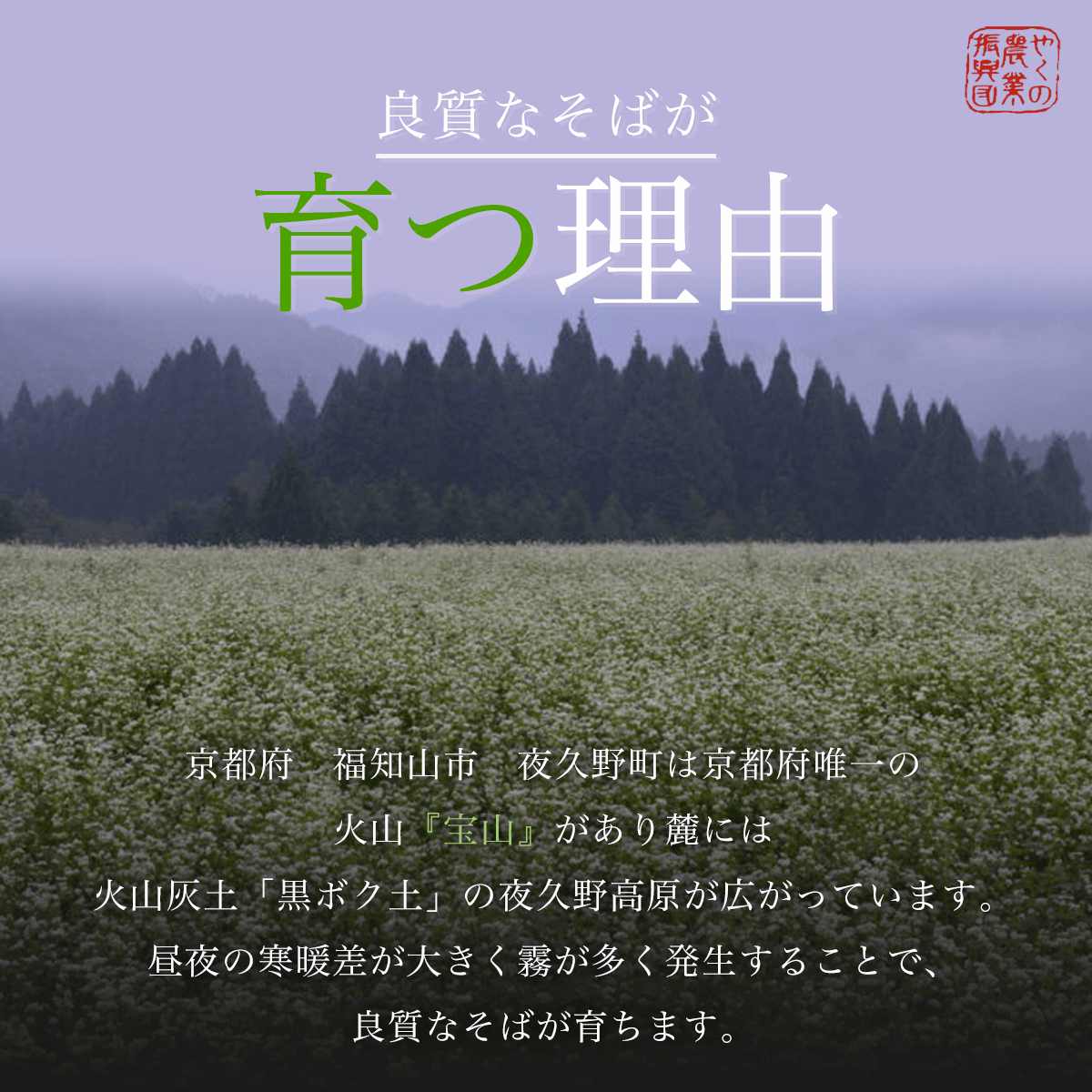 乾麺 京蕎麦 丹波ノ霧  【乾麺 京蕎麦 丹波ノ霧 ふるさと納税 蕎麦 そば 小分け 備蓄 保存食 常温 人気 京都府 福知山市】 FCB016