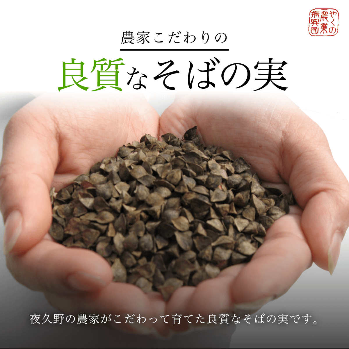 乾麺 京蕎麦 丹波ノ霧  【乾麺 京蕎麦 丹波ノ霧 ふるさと納税 蕎麦 そば 小分け 備蓄 保存食 常温 人気 京都府 福知山市】 FCB016