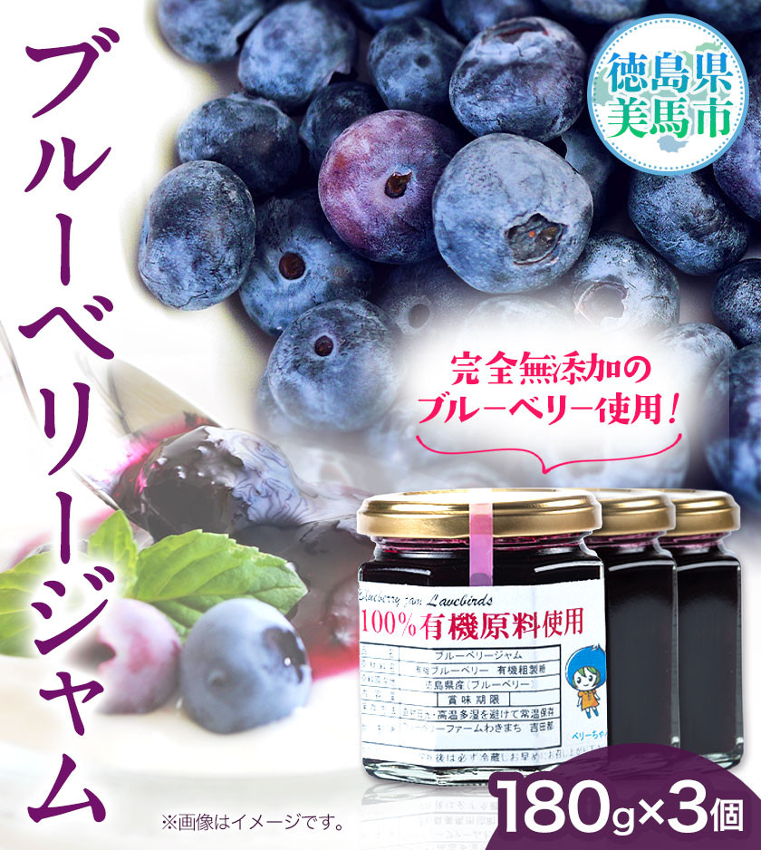 無添加 手作り ブルーベリージャム(180g×3個) 《30日以内に出荷予定(土日祝除く)》ベリーベリーファームわきまち 徳島県 美馬市 ブルーベリー ジャム 果物 フルーツ 青果物 st-p