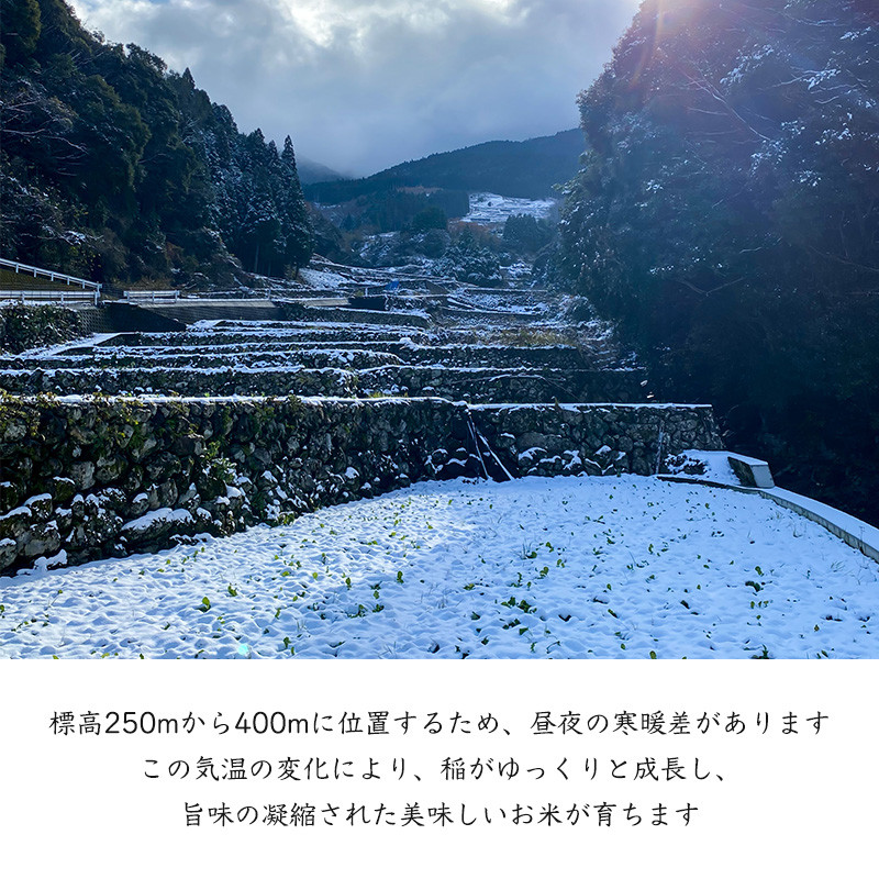 特別栽培棚田米「蕨野」5kg×４袋(合計20kg) 家庭排水が一切入らない自然水で作られたお米 10日に1回精米で新米のような味わい