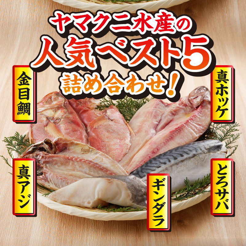 a10-893　【チルドでお届け】ひもの人気BEST5セット