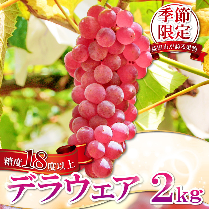 椋さんのこだわり デラウェア 2kg【ぶどう 種無し 先行予約 デラウエア 果物 くだもの フルーツ ブドウ 葡萄 期間限定 季節限定 早期予約 糖度18度以上 種なし】