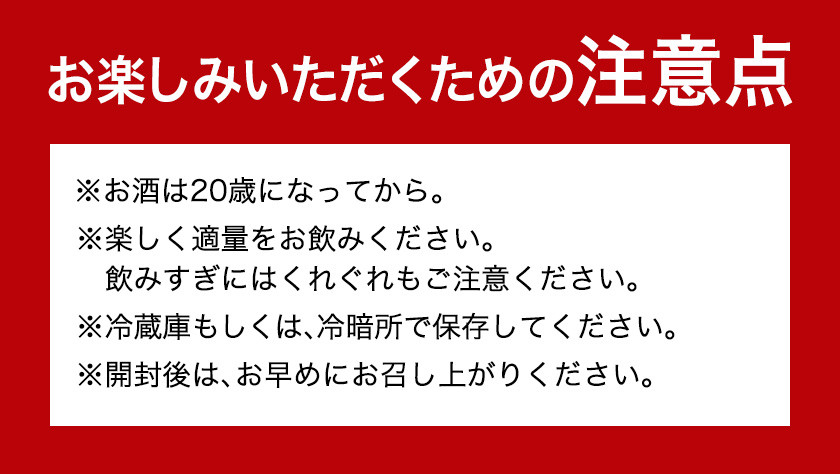 本格米焼酎 黒潮波 (くろしおなみ) と 紀州完熟南高梅 梅酒 720ml×各1本 2本セット 厳選館《90日以内に出荷予定(土日祝除く)》 和歌山県 日高川町 酒 梅酒 焼酎 米焼酎 果実酒