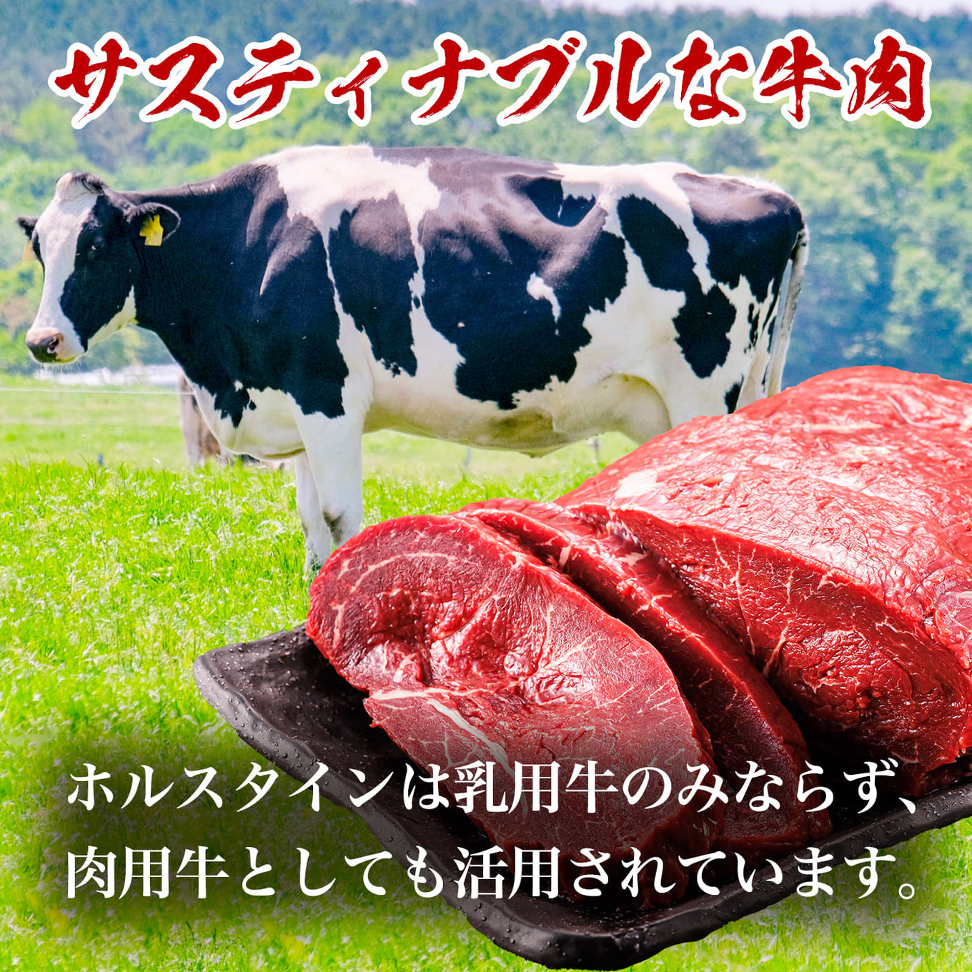 思わず作りたくなる ローストビーフ 北海道産 牛肉 400g×3個 計1.2kg ローストビーフ用 赤身 ブロック 国産 調理 ギフト 肉好き レストラン 贅沢 極上 エスフーズ北海道 釧路町 釧路超 特産品 br03