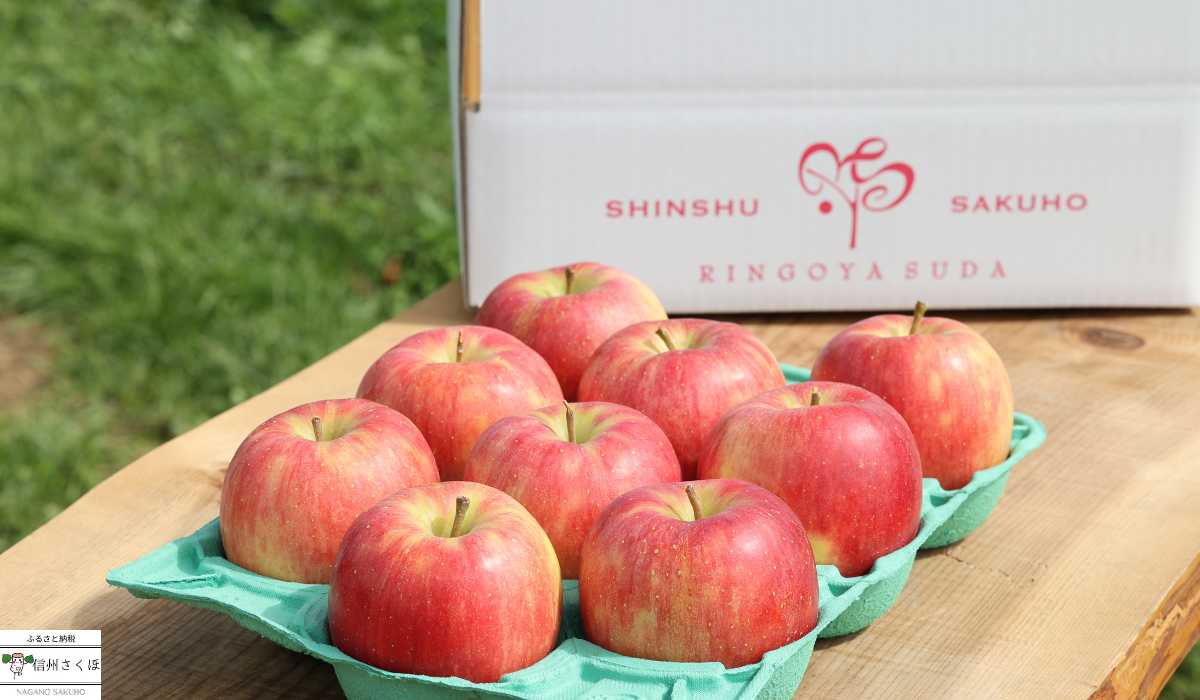 【予約便・2026年発送】定期便全5回 旬のりんご5kg入り贈答箱【限定50箱】(RS-T501)