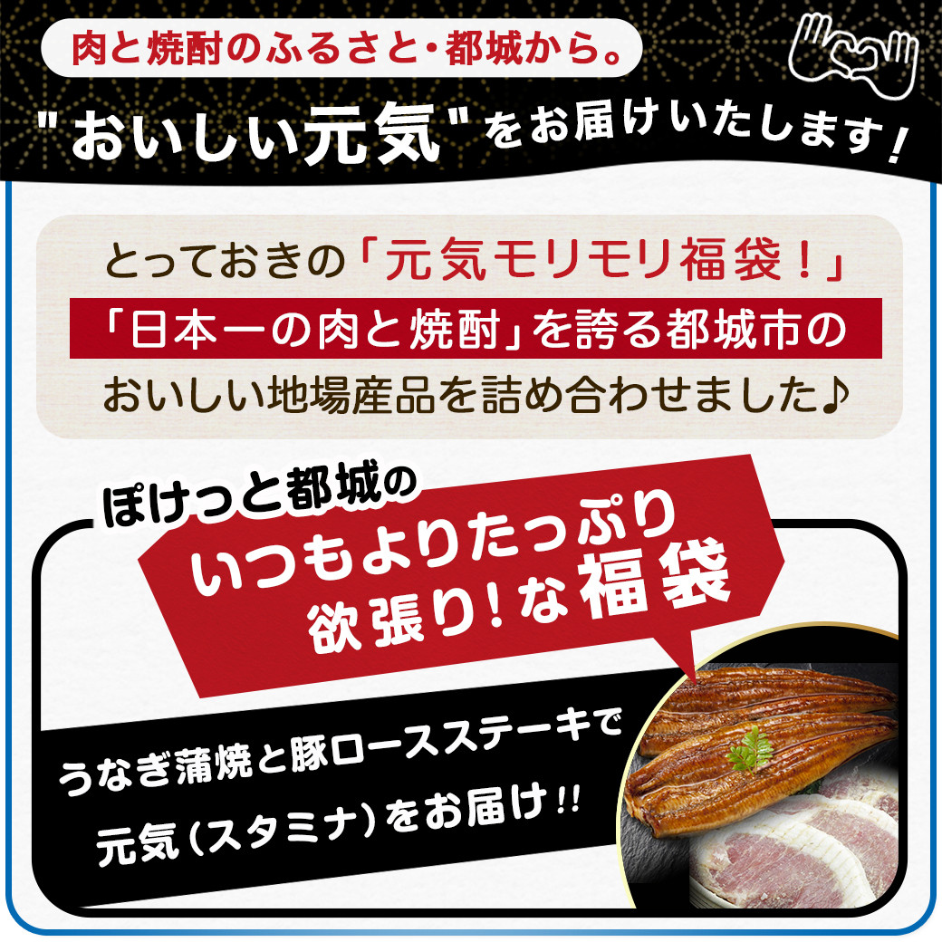 【元気モリモリ福袋】職人手焼きうなぎ蒲焼き2尾＆豚ロースステーキ6枚_AC-3305_(都城市) 豚肉 鰻 国産 うなぎの蒲焼 2尾 タレ付き 麹味噌漬け豚ロース肉 6枚