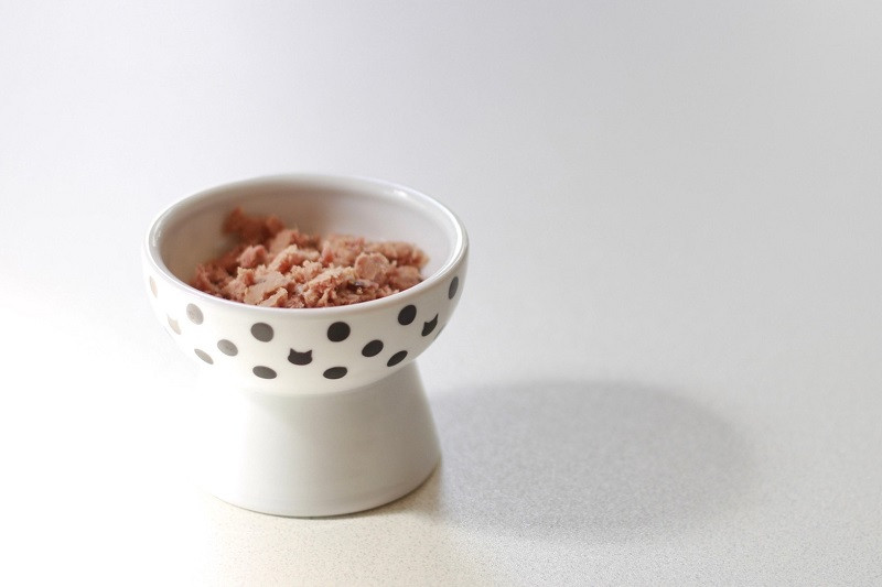 b110-003　【定期便6回】ねこのかつおくん半年分（毎月15パックお届け）