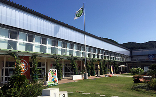 道の駅保田小学校スタッフ厳選!鋸南町農産物セットA / やさい 季節野菜 千葉県 特産品 F22X-029