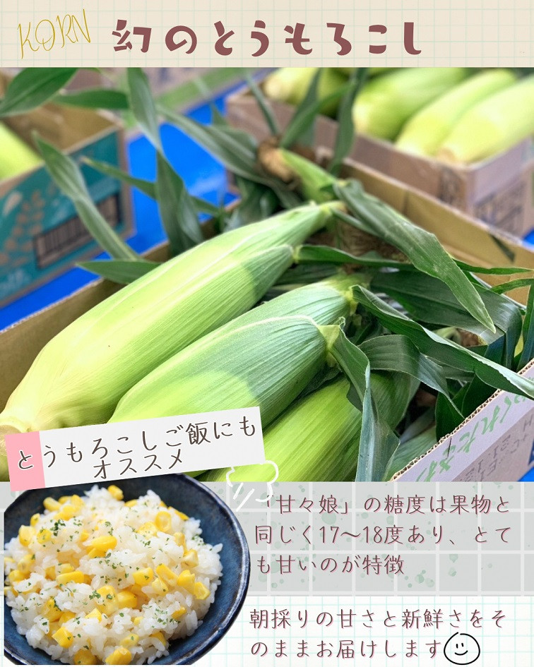 甘々娘 とうもろこし コーン 10本 約 4kg 先行予約 トウモロコシ 甘い 期間限定 夏 旬 野菜 鍋 炒め物 煮物 スープ 弁当 惣菜 おかず 健康 新鮮 国産 送料無料 吉野川市 徳島県
