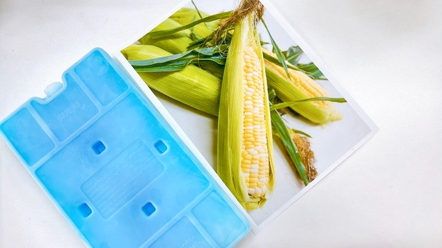 甘々娘 とうもろこし コーン 10本 約 4kg 先行予約 トウモロコシ 甘い 期間限定 夏 旬 野菜 鍋 炒め物 煮物 スープ 弁当 惣菜 おかず 健康 新鮮 国産 送料無料 吉野川市 徳島県