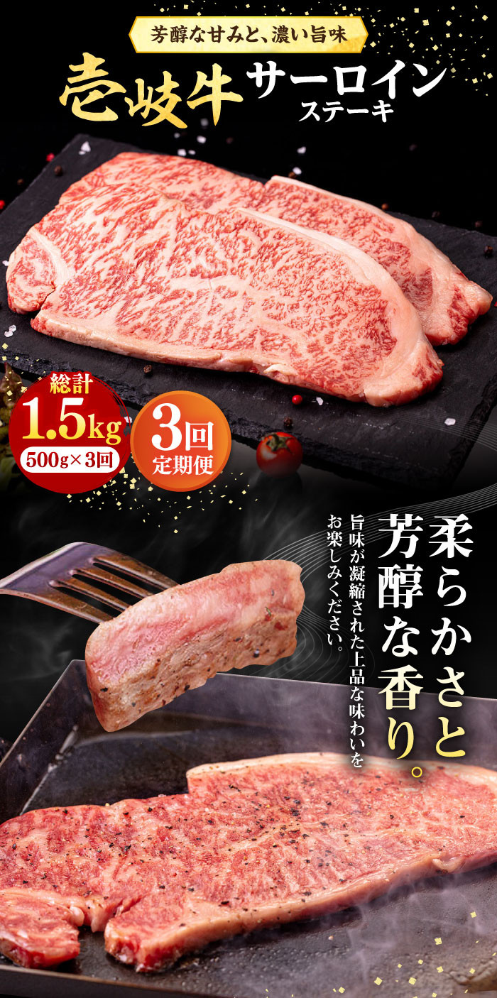 【全3回定期便】 壱岐牛 サーロインステーキ 500g（250g×2枚）《壱岐市》【株式会社イチヤマ】[JFE018] 定期便 赤身  肉 牛肉 サーロイン ステーキ 焼肉 焼き肉 BBQ 93000 93000円