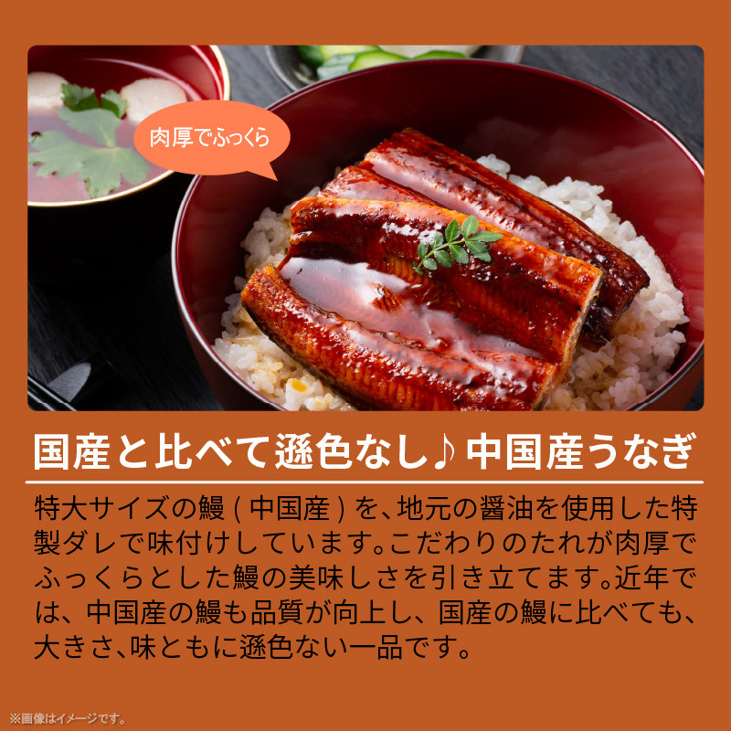 こだわりのデミハンバーグ10個&うなぎの蒲焼1尾(ビッグサイズ約300g)のセット K04605