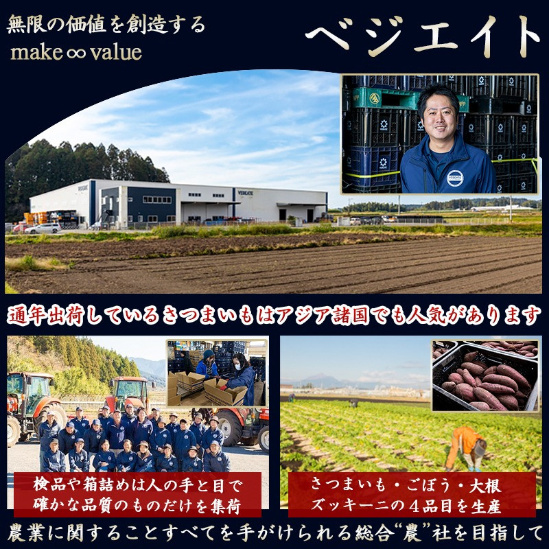 島津甘藷 熟成紅はるか 5kg(S~2S)_LE-A701-m_(都城市) 幻のサツマイモ 紅はるか 幻の品種 5kg S~2S ベジエイト 熟成 芋 定番 焼き芋 アウトドア おやつ お菓子作り 料理