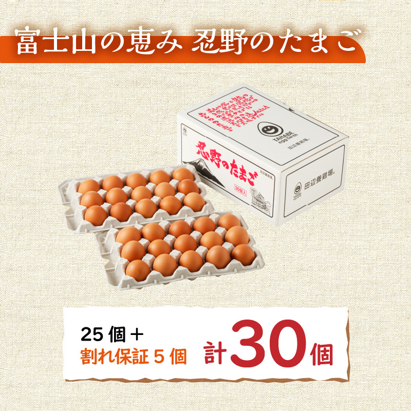 富士山の麓で育った産地直送 ”忍野の卵”※卵25個+割れ保証5個 計30個