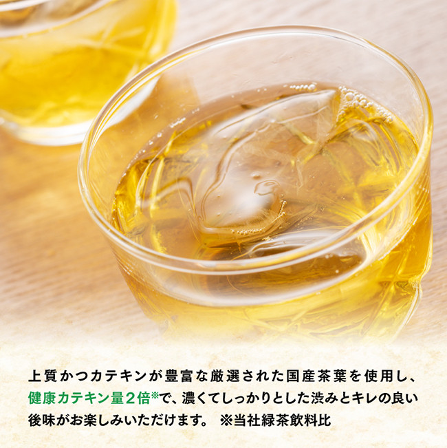 【12ヶ月定期便】お~いお茶 濃い茶2L×6本×2ケース 【 お茶 緑茶 飲料 ソフトドリンク ペットボトル お〜いお茶 定期便 】