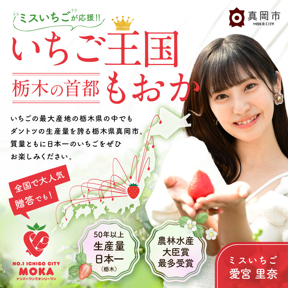 【ふるさと納税】北海道産小豆100% おかしゅうの粒餡 真岡市 栃木県