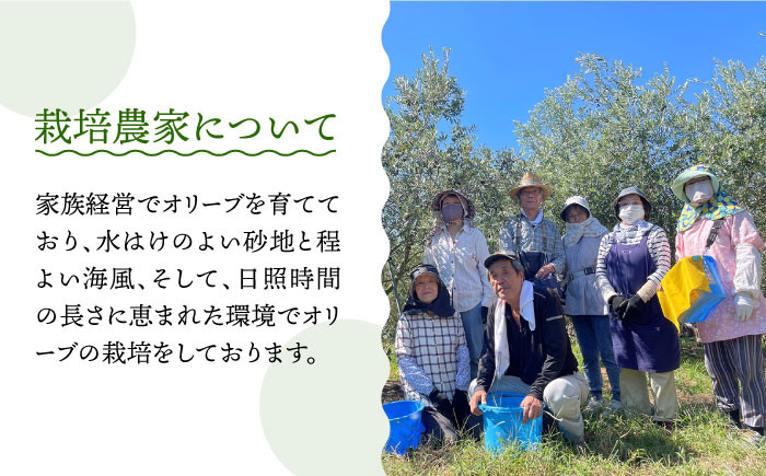 原城オリーブ エクストラヴァージン オイル 100ml 3本 / 調味料 油 オリーブオイル オリーブ / 南島原市 / ミナサポ [SCW027]