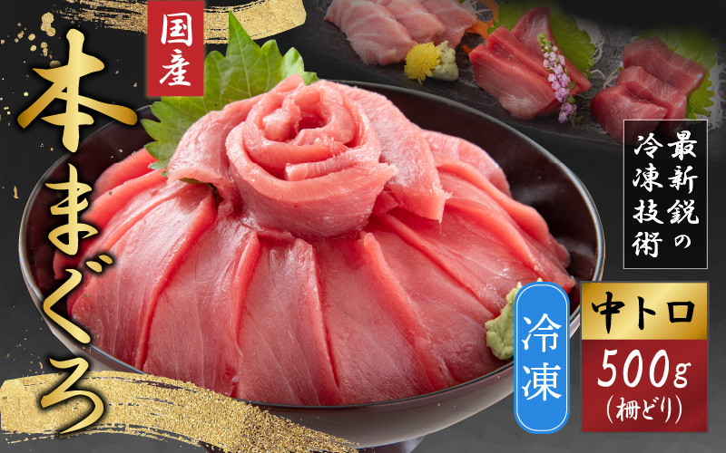【最新鋭の冷凍技術 刺身用】本まぐろ 中トロ 500g（柵どり）【マグロ 鮪 本マグロ お刺身 国産 冷凍配送】[A-107007]