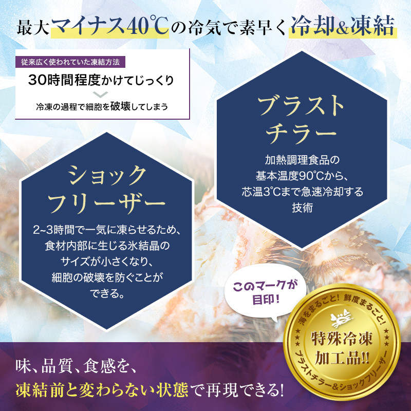 北海道産・ボイル毛蟹600~700g×1尾 ふるさと納税 かに 蟹 F4F-5333