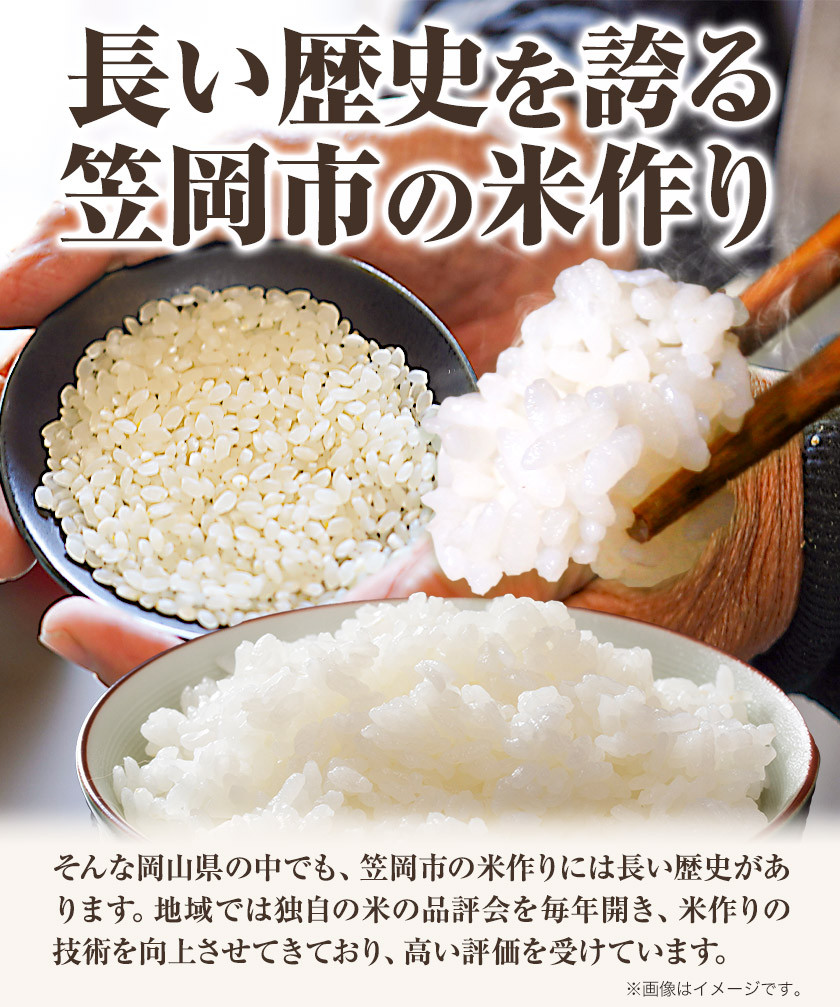 【令和8年2月発送】【先行予約】米 令和7年産 5kg 5kg×1袋 ふるさと米 備中笠岡 人気品種をお届け！ 国産 ヒノヒカリ にこまる きぬむすめ お米 ブランド米 ふっくら ハリ おにぎり 弁当 発送時期が選べる 単一原料米 検査済み お取り寄せ 送料無料 岡山県産 st-p