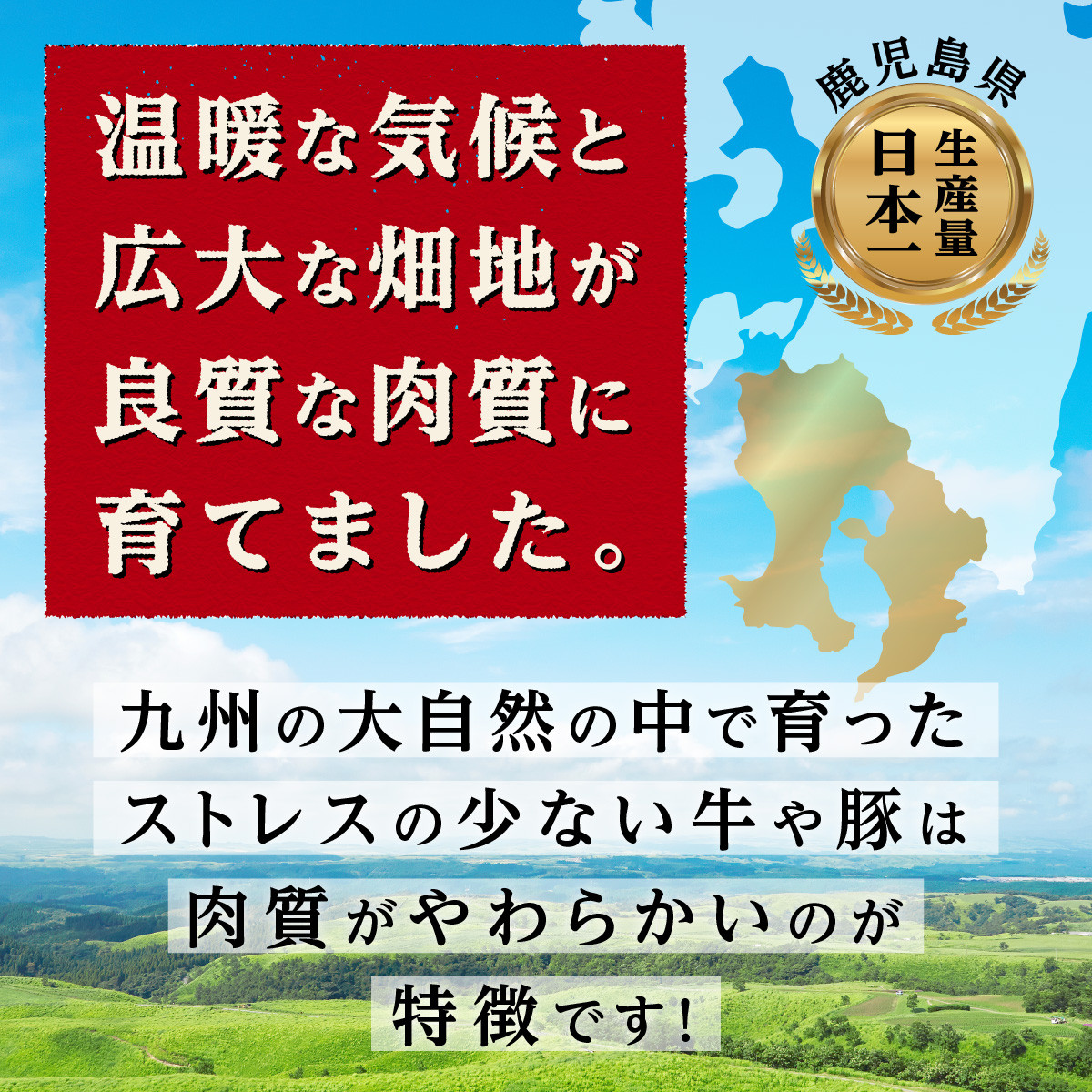 豚肉4種 贅沢セット 2.25kg 豚肉 小分け 詰め合わせ こま 小間切れ しゃぶしゃぶ 生姜焼き 豚 ぶた ブタ ロース スライス 切り落とし 鹿児島 大崎町 ふるさと納税