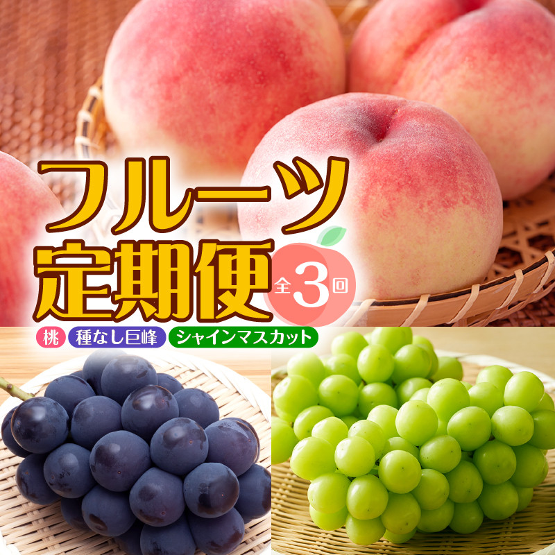 【定期便】年3回お届け 本場の美味しさを味わう甲州市のフルーツ 桃約1.6kg 巨峰1.5kg以上 シャインマスカット1.2kg以上 合計約4.3kg【2026年発送】(MRN)D-185 【桃 シャインマスカット 巨峰 葡萄 ぶどう 令和8年発送 期間限定 山梨県産 甲州市 フルーツ 果物】
