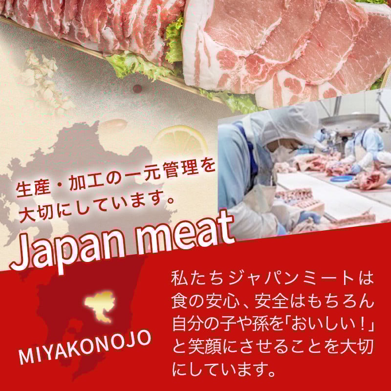 【お歳暮】「どんぐりの恵み豚」キャンプ飯3.6kgセット≪11月17日～12月21日お届け≫_17-1104-WG_(都城市) 都城産豚 どんぐりの恵み ロースステーキ バラワイルド焼肉 肩ロース焼肉 モモ焼きそば用 ウデ大判スライス スペアリブ焼肉 真空包装 3.6キロ 200g 300g BBQ キャンプ ギフト お歳暮
