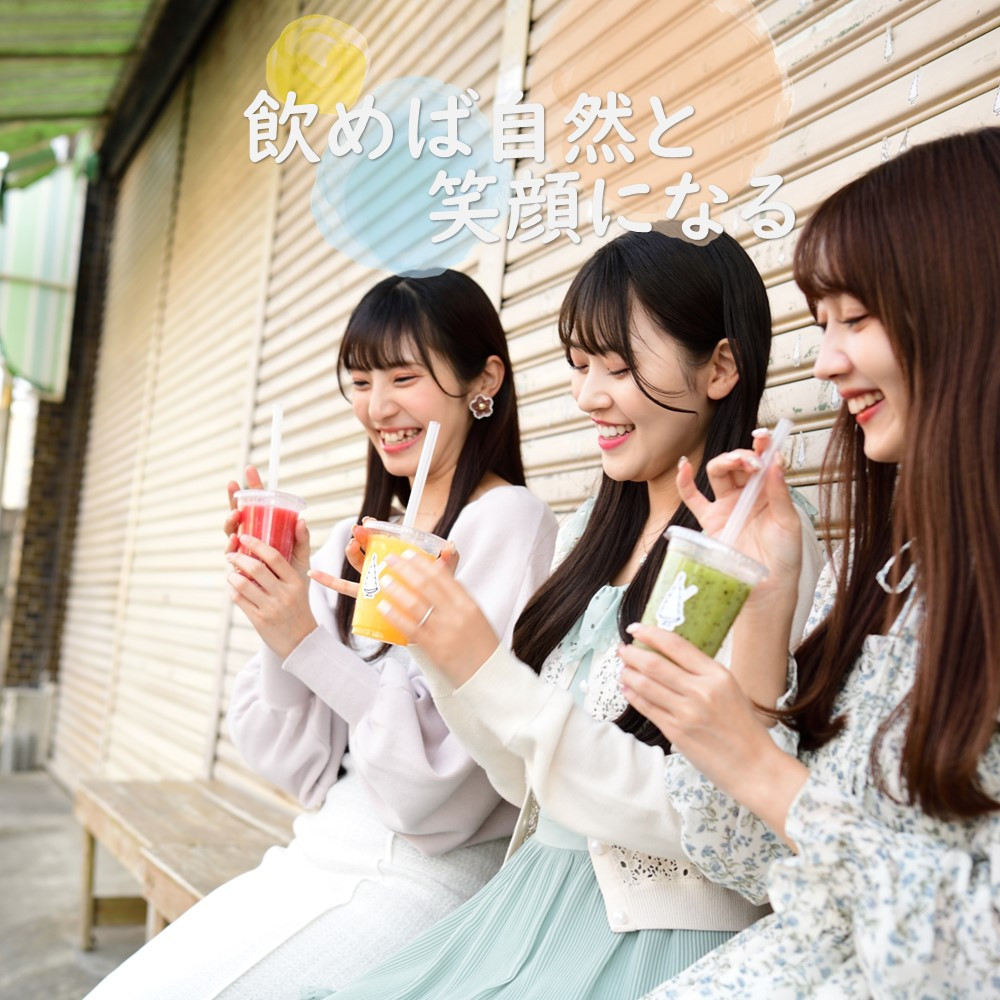 寿氷 スタンダード フルーツ 6種類 食べ比べ レギュラー 真岡市 栃木県