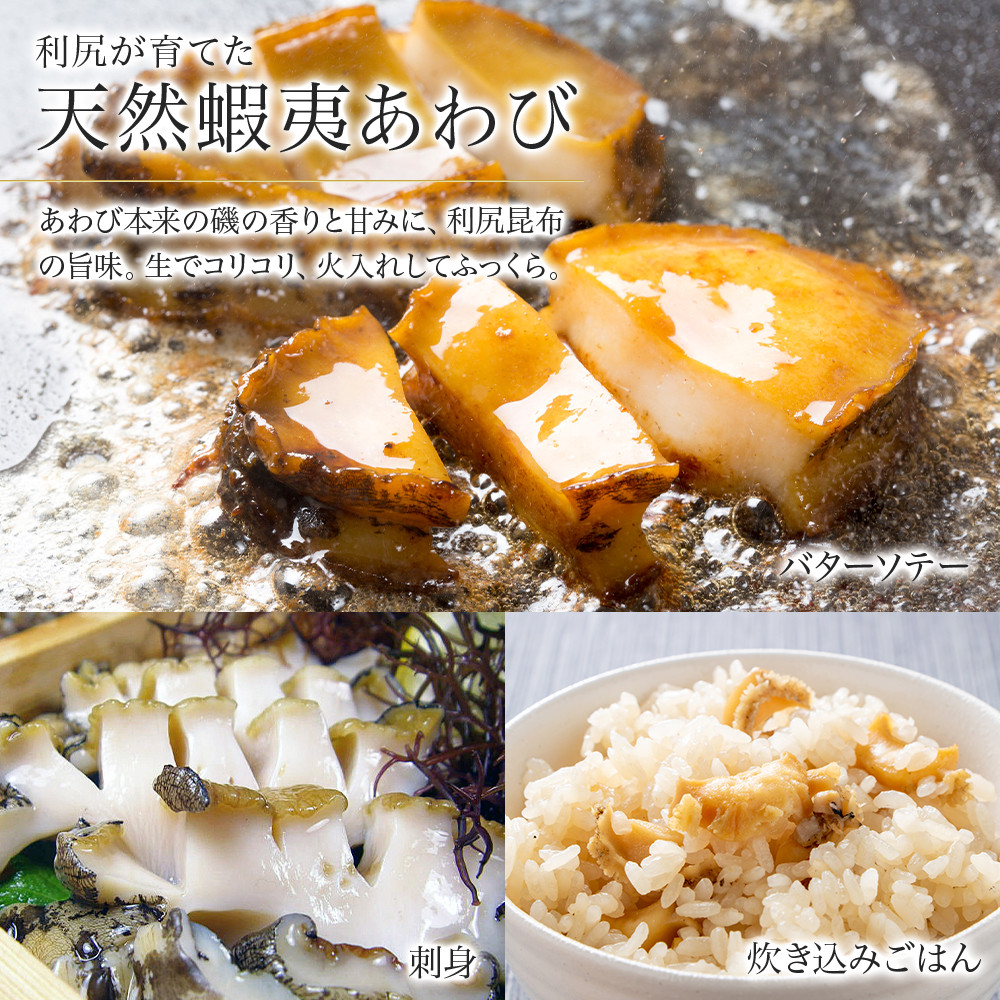 北海道 利尻島産 天然蝦夷あわび １ｋｇ＜中＞（80g～100gサイズ）＜利尻漁業協同組合＞ 北海道 あわび 鮑 刺身