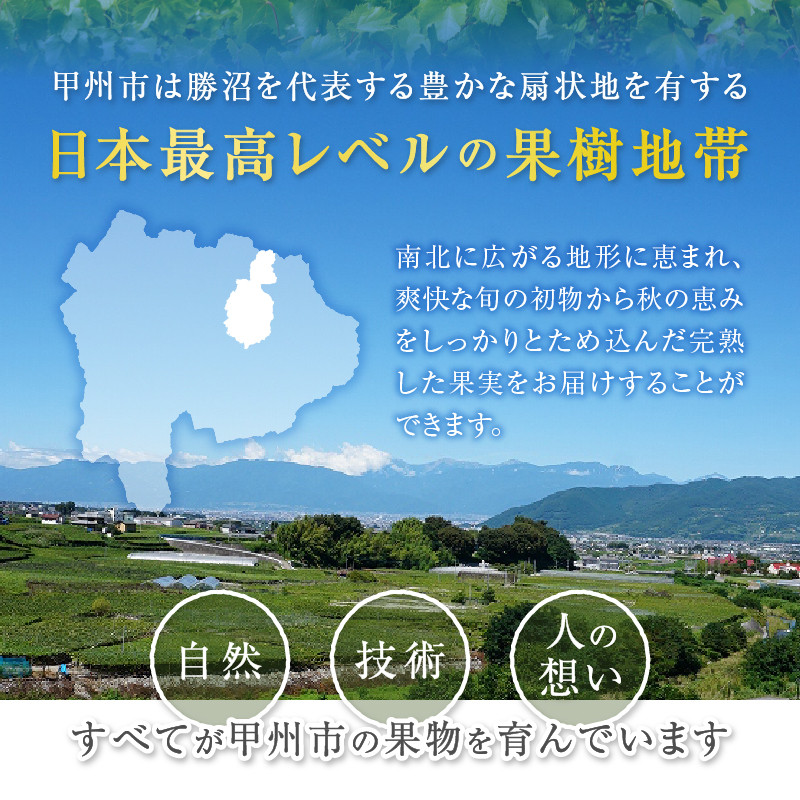 【定期便】新鮮産直甲州市！旬の果物4品定期便【2026年発送】（KSF）E-106 【 桃 もも すもも シャインマスカット 巨峰 ぶどう 葡萄 フルーツ 果物 山梨 甲州市 期間限定 フルーツ定期便 果物定期便 4回 】