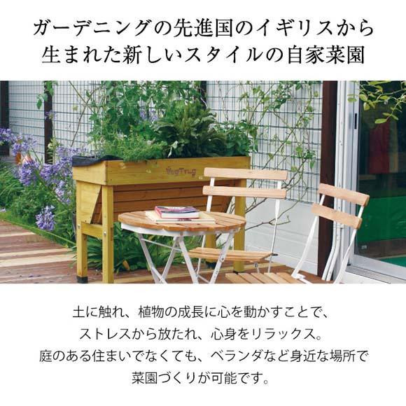 57931000 ホームベジトラグ ウォールハガー コンパクト グレイウォッシュ