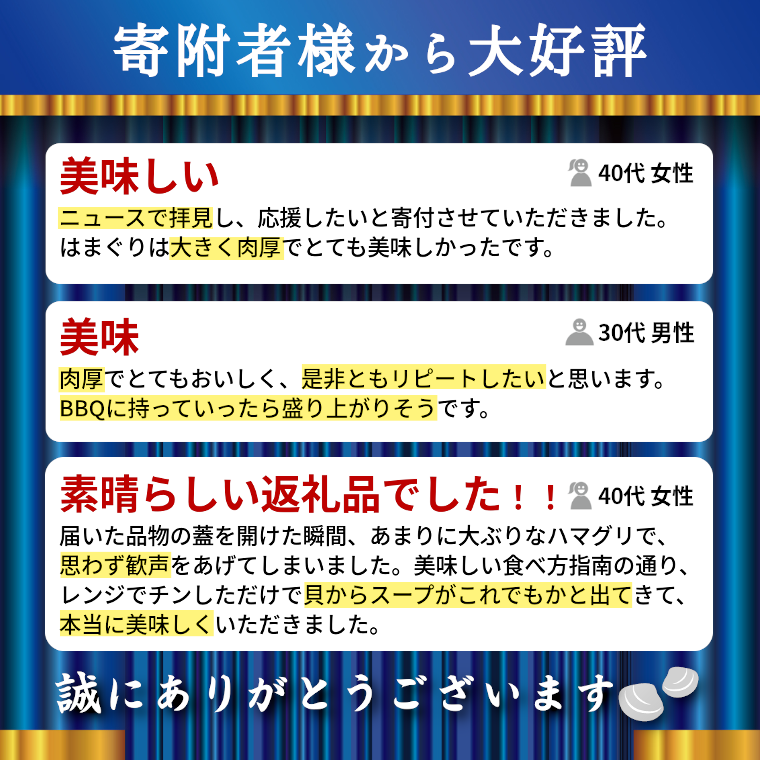 天然はまぐり約3kg (千葉県産)_ 蛤 ハマグリ 魚貝 魚介 海鮮 貝 出汁 だし プロ仕様 人気 送料無料 【1306039】