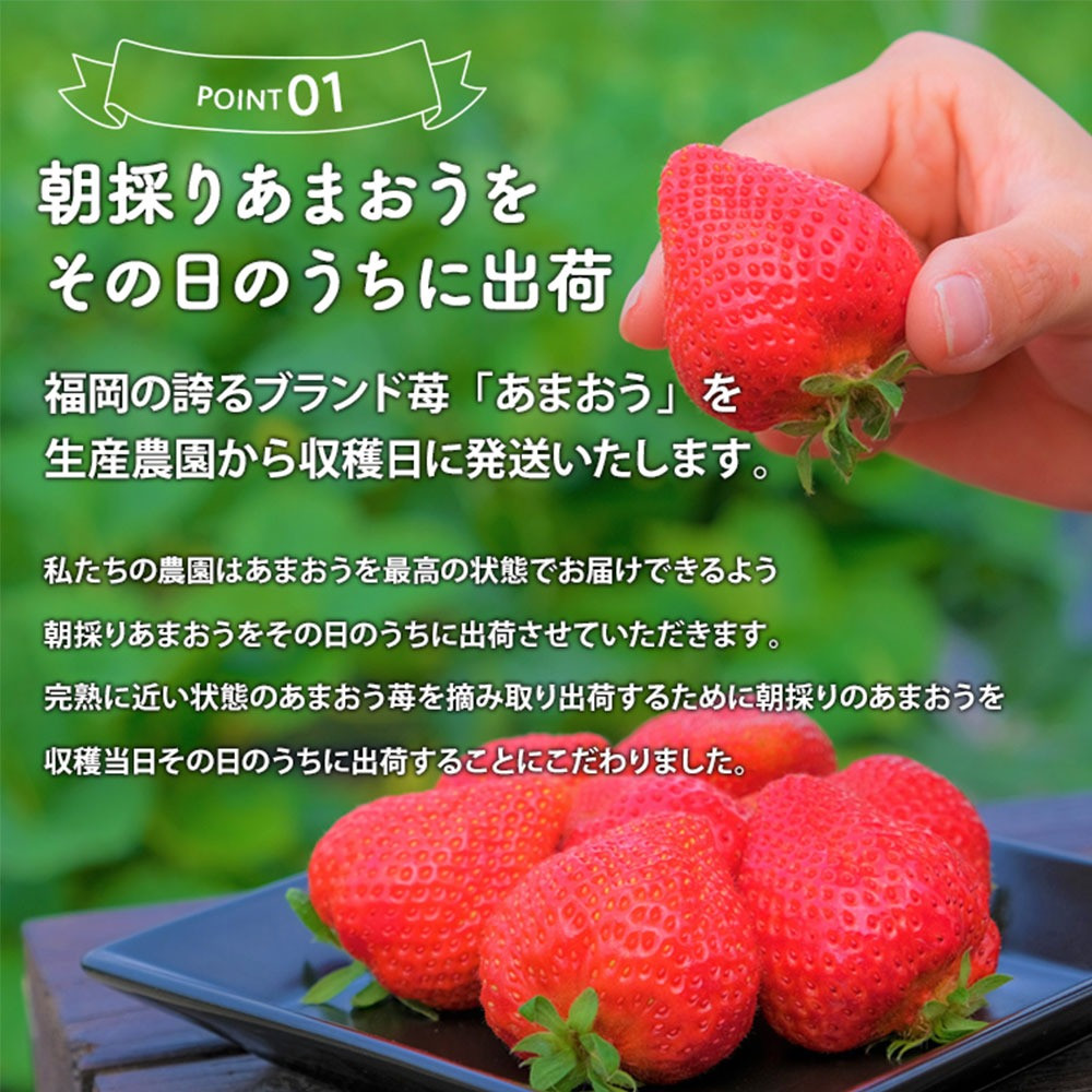 【3月～4月発送】いちごの王様 あまおう 約280g×4パック 約1120g【2026年3月上旬～2026年4月上旬発送予定】 いちご イチゴ 苺 フルーツ