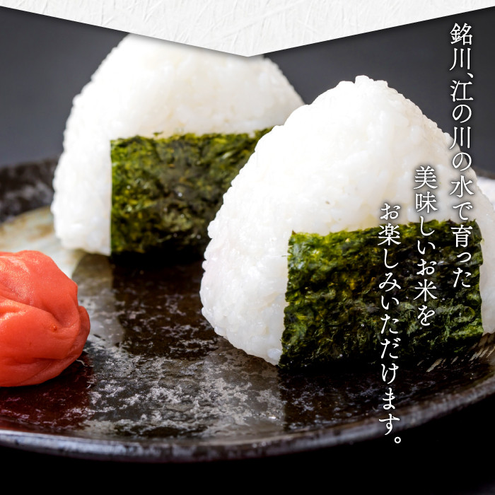 美郷町産きぬむすめ 10kg【お米 10kg 5kg×2袋 精米 白米 ブランド米 米 きぬむすめ お米】