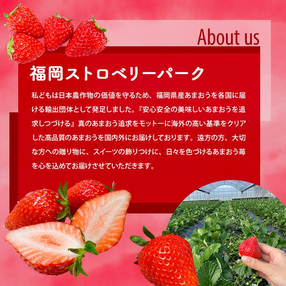 【3月～4月発送】いちごの王様 あまおう 約280g×4パック 約1120g【2026年3月上旬～2026年4月上旬発送予定】 いちご イチゴ 苺 フルーツ